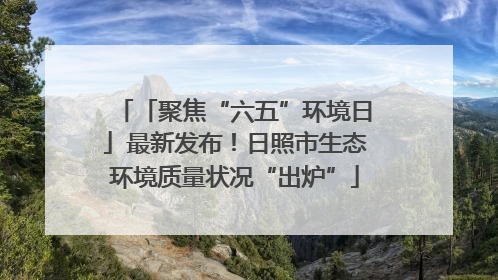 「聚焦“六五”环境日」最新发布！日照市生态环境质量状况“出炉”