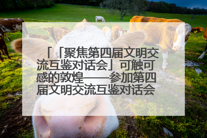 「聚焦第四届文明交流互鉴对话会」可触可感的敦煌——参加第四届文明交流互鉴对话会的外宾参观上元市集