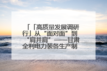 「高质量发展调研行」从“面对面”到“肩并肩”——甘肃全利电力装备生产制造项目一线见闻