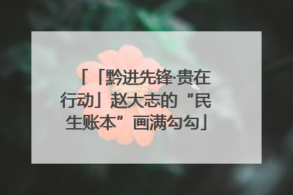 「黔进先锋·贵在行动」赵大志的“民生账本”画满勾勾