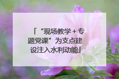 “现场教学＋专题党课”为支点建设注入水利动能