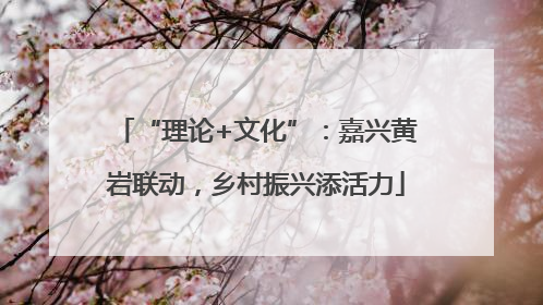 “理论+文化”：嘉兴黄岩联动，乡村振兴添活力