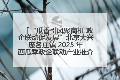 “瓜香引凤聚商机 政企联动促发展”北京大兴庞各庄镇 2025 年西瓜季政企联动产业推介活动圆满举行