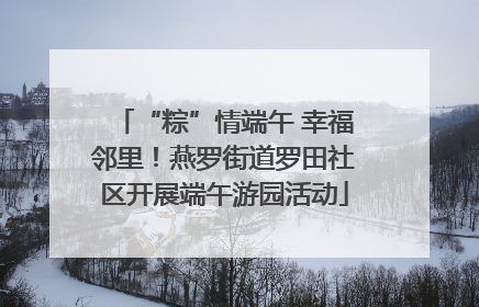 “粽”情端午 幸福邻里！燕罗街道罗田社区开展端午游园活动