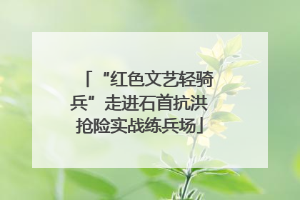 “红色文艺轻骑兵”走进石首抗洪抢险实战练兵场
