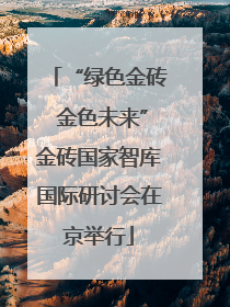 “绿色金砖 金色未来”金砖国家智库国际研讨会在京举行