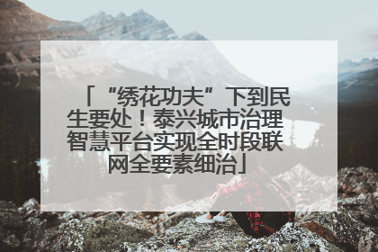 “绣花功夫”下到民生要处！泰兴城市治理智慧平台实现全时段联网全要素细治