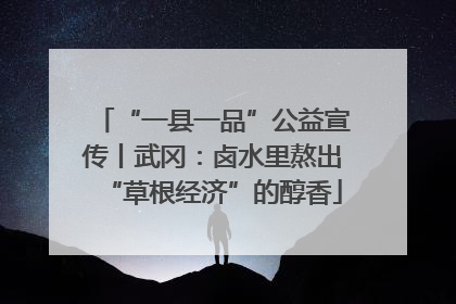 “一县一品”公益宣传丨武冈：卤水里熬出“草根经济”的醇香