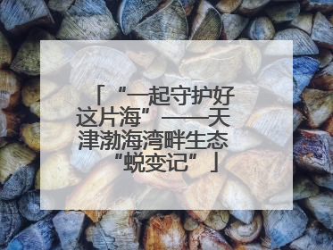 “一起守护好这片海”——天津渤海湾畔生态“蜕变记”