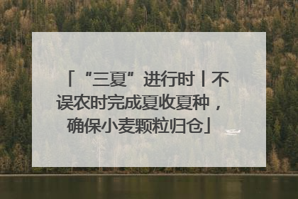 “三夏”进行时丨不误农时完成夏收夏种，确保小麦颗粒归仓