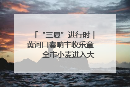 “三夏”进行时｜黄河口奏响丰收乐章——全市小麦进入大面积收获高峰期