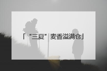 “三夏”麦香溢满仓