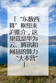 “东数西算”枢纽来沪推介，这里竟是华为云、腾讯和网易的算力“大本营”