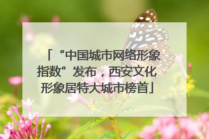 “中国城市网络形象指数”发布，西安文化形象居特大城市榜首