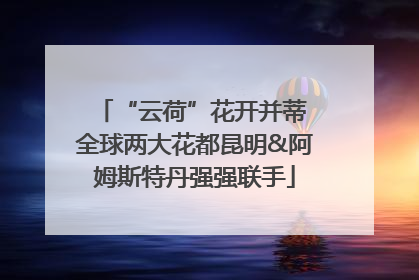 “云荷”花开并蒂 全球两大花都昆明&阿姆斯特丹强强联手