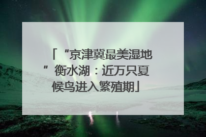 “京津冀最美湿地”衡水湖：近万只夏候鸟进入繁殖期