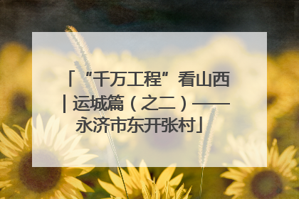 “千万工程”看山西｜运城篇（之二）——永济市东开张村