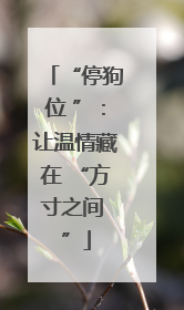 “停狗位 ”：让温情藏在 “方寸之间 ”