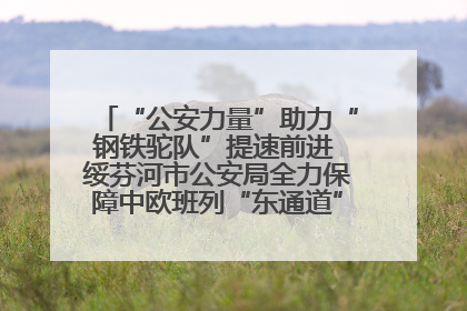 “公安力量”助力“钢铁驼队”提速前进 绥芬河市公安局全力保障中欧班列“东通道”绥芬河隧道贯通