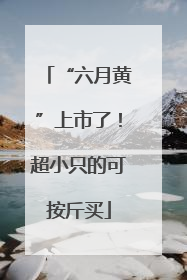 “六月黄”上市了！超小只的可按斤买