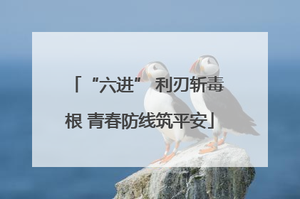“六进” 利刃斩毒根 青春防线筑平安