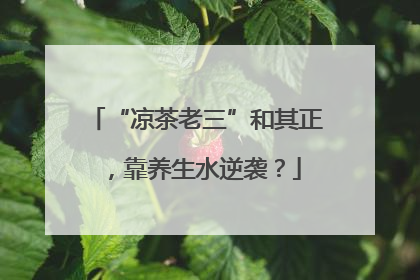 “凉茶老三”和其正，靠养生水逆袭？