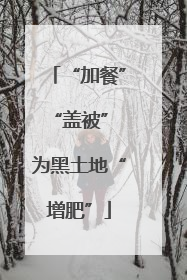 “加餐”“盖被” 为黑土地“增肥”