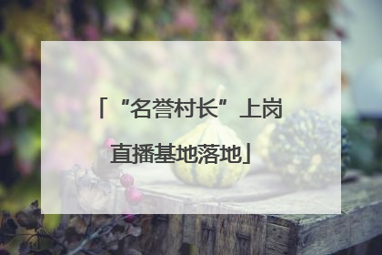 “名誉村长”上岗 直播基地落地
