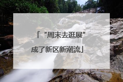 “周末去逛展”成了新区新潮流
