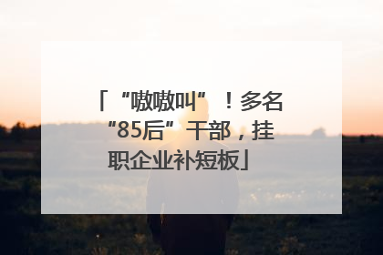 “嗷嗷叫”！多名“85后”干部，挂职企业补短板