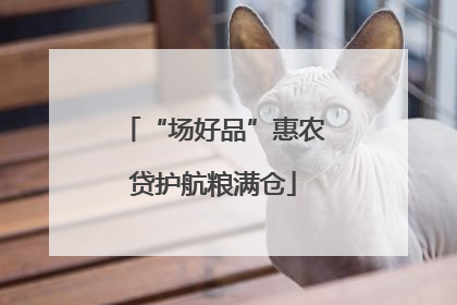 “场好品”惠农贷护航粮满仓