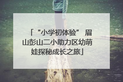 “小学初体验” 眉山彭山二小助力区幼萌娃探秘成长之旅