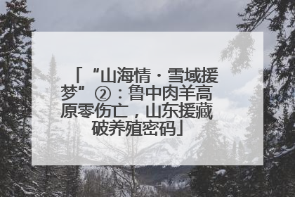 “山海情・雪域援梦”②：鲁中肉羊高原零伤亡，山东援藏破养殖密码
