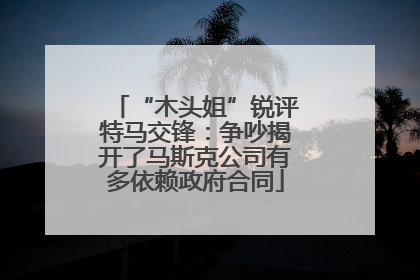 “木头姐”锐评特马交锋：争吵揭开了马斯克公司有多依赖政府合同