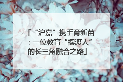 “沪嘉”携手育新苗：一位教育“摆渡人”的长三角融合之路