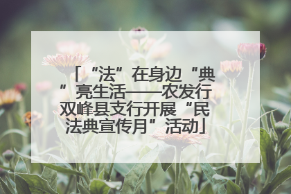 “法”在身边“典”亮生活——农发行双峰县支行开展“民法典宣传月”活动
