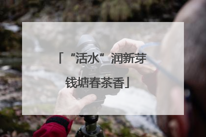 “活水”润新芽 钱塘春茶香