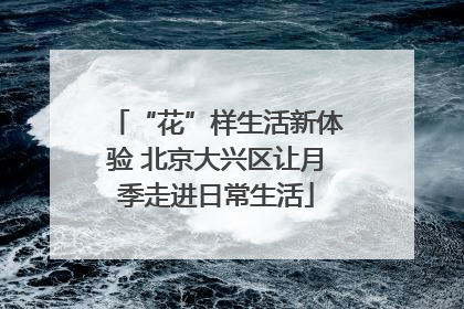 “花”样生活新体验 北京大兴区让月季走进日常生活