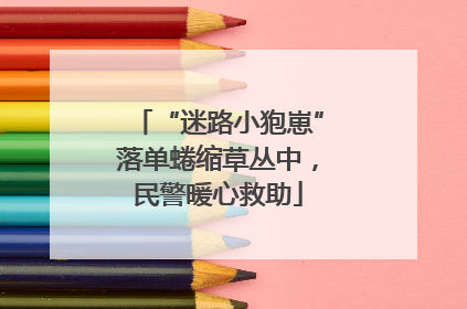 “迷路小狍崽”落单蜷缩草丛中，民警暖心救助