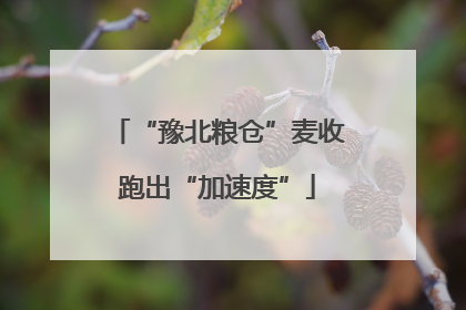 “豫北粮仓”麦收跑出“加速度”