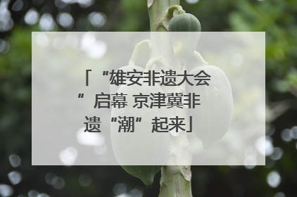 “雄安非遗大会”启幕 京津冀非遗“潮”起来