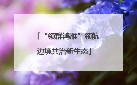 “领群鸿雁”领航边境共治新生态