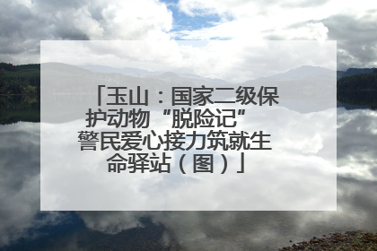 玉山：国家二级保护动物“脱险记” 警民爱心接力筑就生命驿站（图）
