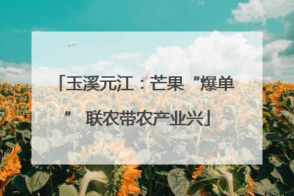 玉溪元江：芒果“爆单” 联农带农产业兴
