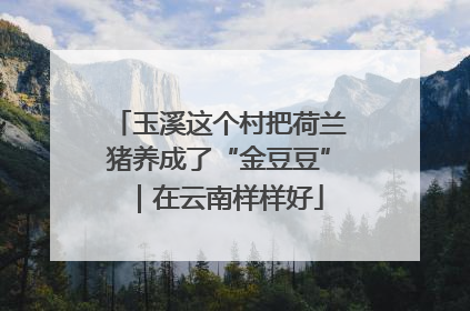 玉溪这个村把荷兰猪养成了“金豆豆”｜在云南样样好