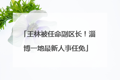 王林被任命副区长！淄博一地最新人事任免