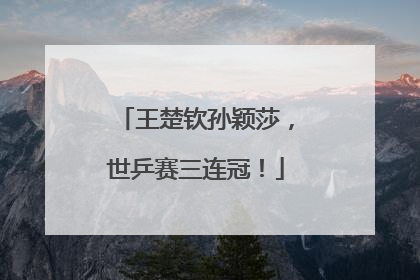 王楚钦孙颖莎，世乒赛三连冠！