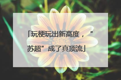 玩梗玩出新高度，“苏超”成了真顶流