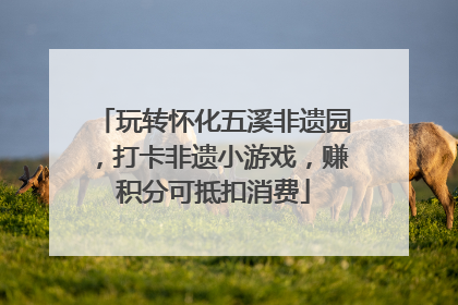 玩转怀化五溪非遗园，打卡非遗小游戏，赚积分可抵扣消费