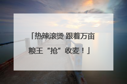热辣滚烫 跟着万亩粮王“抢”收麦！